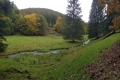 Exkursion-Naturpark-Oktober-2024_6