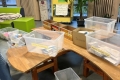 Weihnachstpostaktion-2024_4